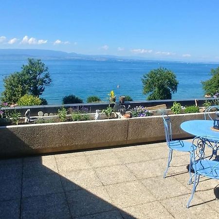 Lakefront. Appartement Pieds Dans L'Eau. View And Direct Access To The Lake. Anthy-sur-Leman Exterior foto