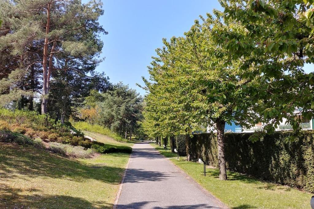 Lakefront. Appartement Pieds Dans L'Eau. View And Direct Access To The Lake. Anthy-sur-Leman Exterior foto