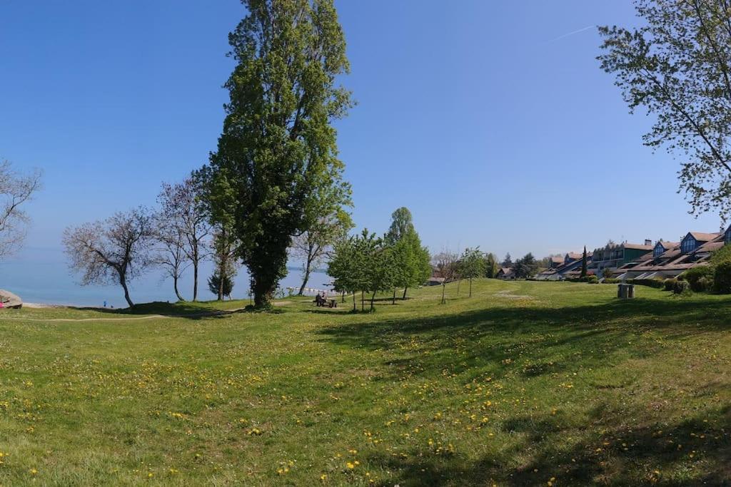 Lakefront. Appartement Pieds Dans L'Eau. View And Direct Access To The Lake. Anthy-sur-Leman Exterior foto