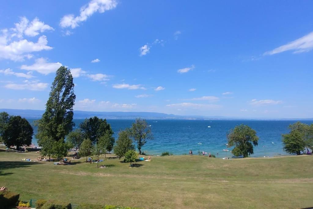 Lakefront. Appartement Pieds Dans L'Eau. View And Direct Access To The Lake. Anthy-sur-Leman Exterior foto